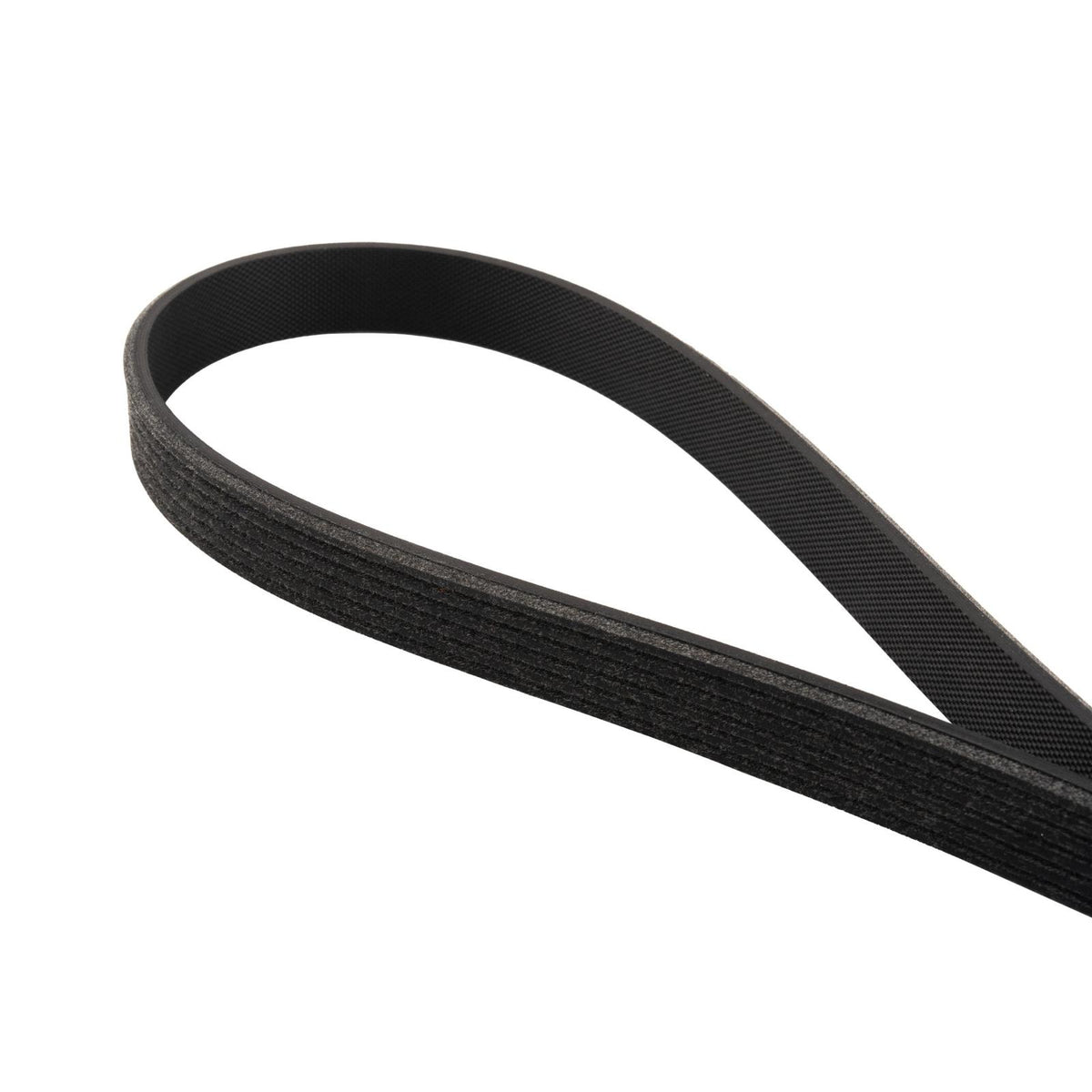 Serpentine Belt - 2011-2023 Ford 5.0/5.2L Mustang 6 Rib A/C Belt 6PK851 Pacific Performance Engineering