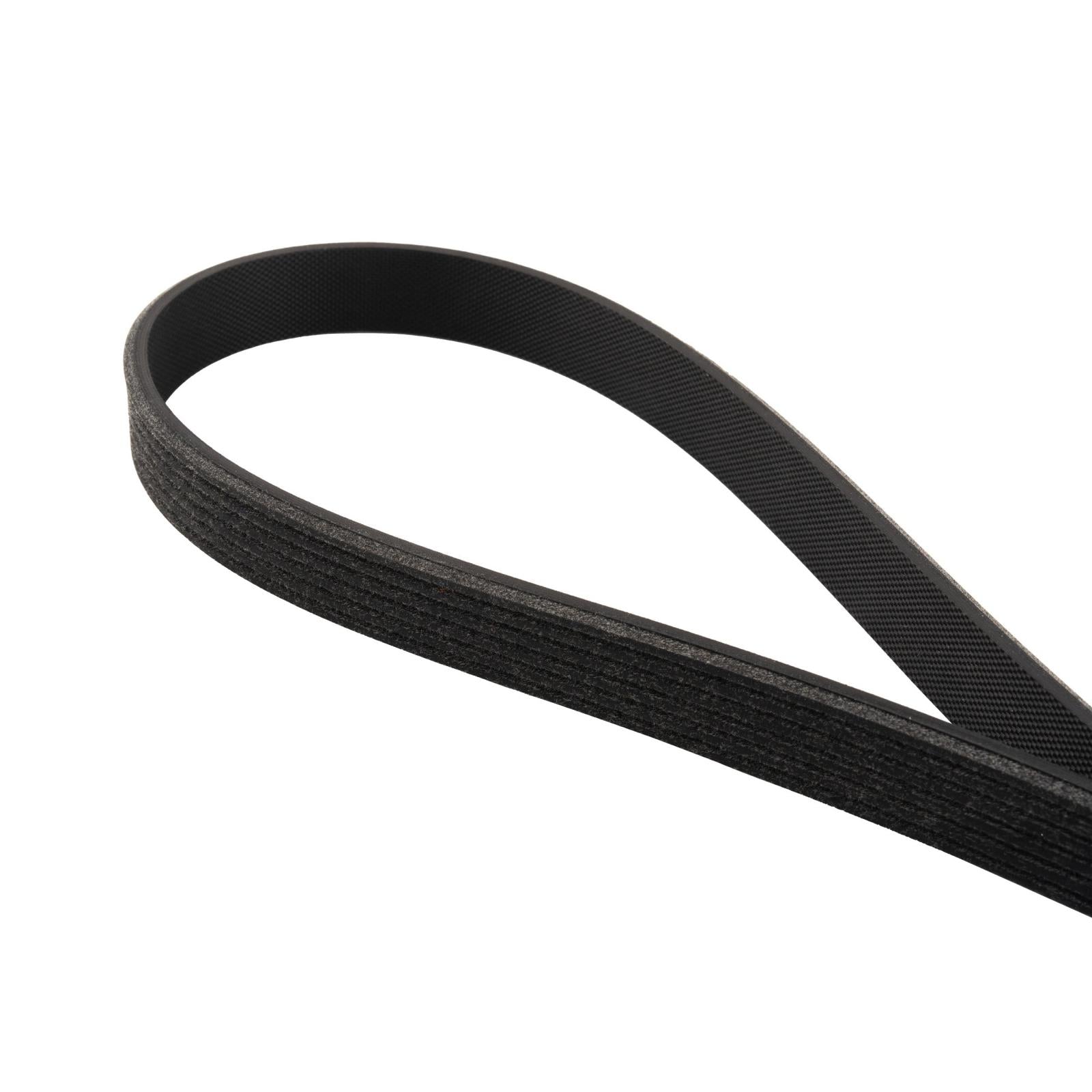 Serpentine Belt - 2011-2023 Ford 5.0/5.2L Mustang 6 Rib A/C Belt 6PK851 Pacific Performance Engineering